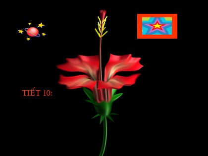 Bài giảng Đại số và Giải tích Lớp 11 - Tiết 10: Phương trình lượng giác cơ bản