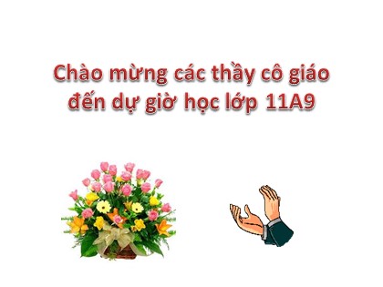 Bài giảng Đại số và Giải tích Lớp 11 - Tiết 37: Phương pháp quy nạp toán học