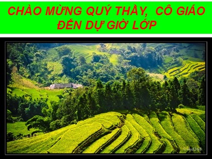 Bài giảng Địa lí Lớp 10 - Bài 19: Sự phân bố sinh vật và đất trên Trái Đất - Nguyễn Đạt Thành Bài giảng Địa lí Lớp 10 - Bài 19: Sự phân bố sinh vật và đất trên Trái Đất - Nguyễn Đạt Thành