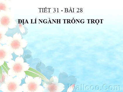 Bài giảng Địa lí Lớp 10 - Bài 28: Địa lí ngành trồng trọt Bài giảng Địa lí Lớp 10 - Bài 28: Địa lí ngành trồng trọt