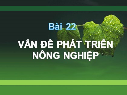 Bài giảng Địa lí Lớp 12 - Bài 22: Vấn đề phát triển nông nghiệp