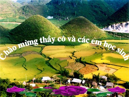 Bài giảng Địa lí Lớp 12 - Bài 28: Vấn đề tổ chức lãnh thổ công nghiệp