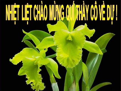 Bài giảng Địa lí Lớp 12 - Bài 39: Vấn đề khai thác lãnh thổ theo chiều sâu ở Đông Nam Bộ Bài giảng Địa lí Lớp 12 - Bài 39: Vấn đề khai thác lãnh thổ theo chiều sâu ở Đông Nam Bộ