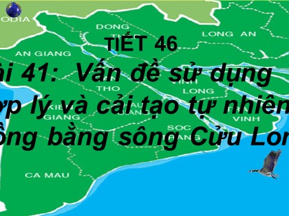 Bài giảng Địa lí Lớp 12 - Bài 41: Vấn đề sử dụng hợp lý và cải tạo tự nhiên ở Đồng bằng sông Cửu Long Bài giảng Địa lí Lớp 12 - Bài 41: Vấn đề sử dụng hợp lý và cải tạo tự nhiên ở Đồng bằng sông Cửu Long