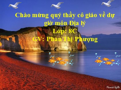 Bài giảng Địa lý Lớp 8 - Bài 14: Tình hình phát triển kinh tế xã hội khu vực Đông Á - Phan Thị Phượng