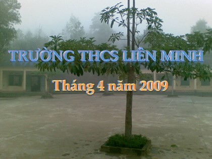 Bài giảng Địa lý Lớp 8 - Bài 40: Thực hành đọc lát cắt địa lí tự nhiên tổng hợp - Trường THCS Liên Minh