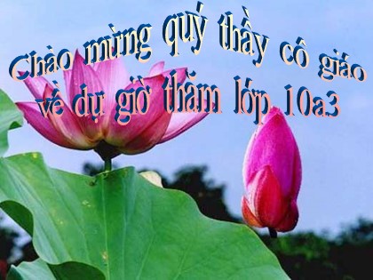 Bài giảng Giáo dục công dân Lớp 10 - Bài 10: Quan niệm về đạo đức