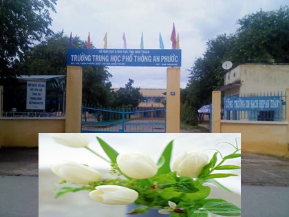 Bài giảng Giáo dục công dân Lớp 12 - Bài 9: Pháp luật với sự phát triển bền vững của đất nước (Tiết 2)