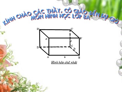 Bài giảng Hình học 8 - Tiết 55: Hình hộp chữ nhật