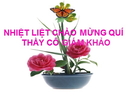 Bài giảng Hình học Lớp 12 - Tiết 29: Luyện tập hệ toạ độ trong không gian (Bài tập về mặt cầu) - Nguyễn Năng Suất