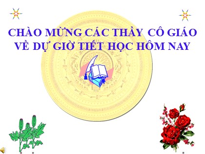 Bài giảng Hình học Lớp 8 - Tiết 28: Diện tích tam giác