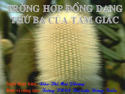 Bài giảng Hình học Lớp 8 - Tiết 44: Trường hợp đồng dạng thứ ba của tam giác - Đào Thị Mai Phương