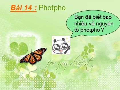 Bài giảng Hóa học Lớp 11 - Bài 14: Photpho