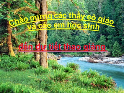 Bài giảng Hóa học Lớp 12 - Tiết 33: Hợp kim