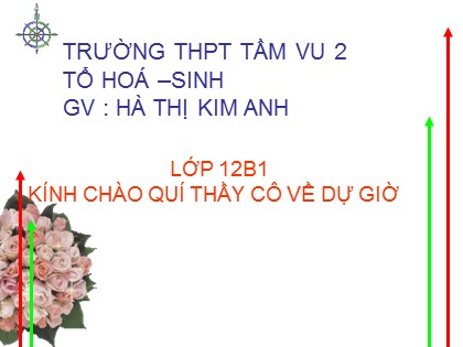 Bài giảng Hóa học Lớp 12 - Tiết 52: Sắt - Hà Thị Kim Anh
