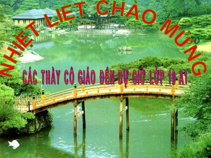 Bài giảng Lịch sử Lớp 10 - Bài 23: Phong trào Tây Sơn và sự nghiệp thống nhất đất nước, bảo vệ tổ quốc cuối thế kỷ XVIII