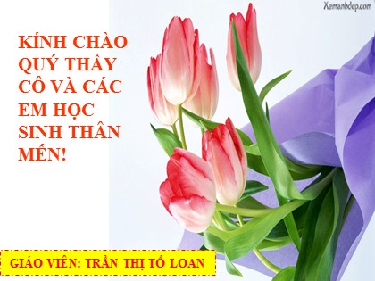 Bài giảng Lịch sử Lớp 10 - Bài 35: Các nước Anh, Pháp, Đức, Mĩ và sự bành trướng thuộc địa - Trần Thị Tố Loan