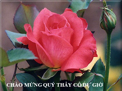Bài giảng Lịch sử Lớp 12 - Bài 7: Các nước Mĩ La-tinh