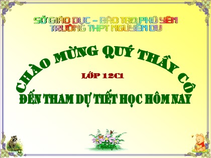 Bài giảng Lịch sử Lớp 12 - Tiết 18: Phong trào dân tộc dân chủ ở Việt Nam Từ năm 1925 đến năm 1930 - Trường THPT Nguyễn Du