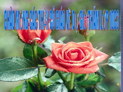 Bài giảng Ngữ văn Lớp 10 - Tiết 36: Phong cách ngôn ngữ sinh hoạt - Nguyễn Văn Hào