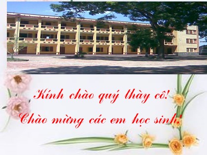 Bài giảng Ngữ văn Lớp 10 - Tiết 41: Độc tiểu Thanh kí