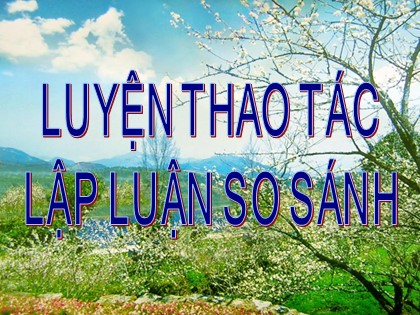 Bài giảng Ngữ văn Lớp 11 - Tiết 43: Luyện thao tác lập luận so sánh