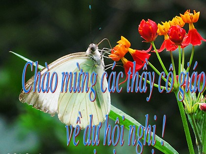 Bài giảng Ngữ văn Lớp 11 - Tiết 8: Thao tác lập luận phân tích Bài giảng Ngữ văn Lớp 11 - Tiết 8: Thao tác lập luận phân tích