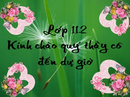 Bài giảng Ngữ văn Lớp 11 - Tiết 93: Luyện tập viết tiểu sử tóm tắt Bài giảng Ngữ văn Lớp 11 - Tiết 93: Luyện tập viết tiểu sử tóm tắt
