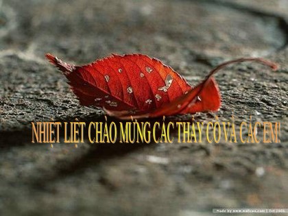 Bài giảng Ngữ văn Lớp 12 - Tiết 10: Nguyễn Đình Chiểu, ngôi sao sáng trong văn nghệ của dân tộc - Doãn Thị Đông