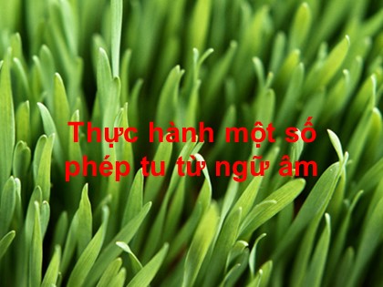 Bài giảng Ngữ văn Lớp 12 - Tiết 30: Thực hành một số phép tu từ ngữ âm
