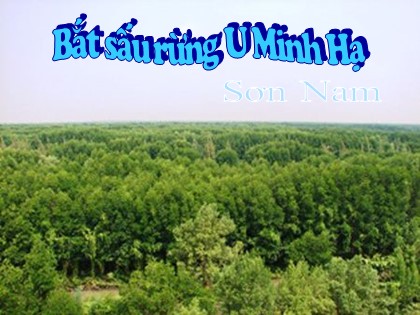 Bài giảng Ngữ văn Lớp 12 - Tiết 63: Bắt sấu rừng U Minh Hạ