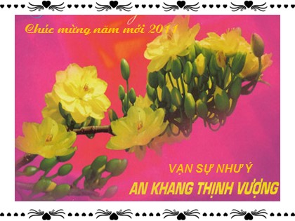 Bài giảng Ngữ văn Lớp 12 - Tiết 64+65: Rừng xà nu - Hà Huyền Hoài Hà