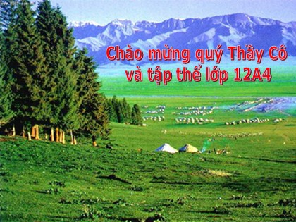 Bài giảng Ngữ văn Lớp 12 - Tiết 80+81: Số phận con người