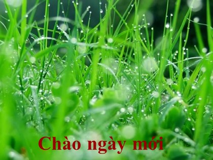 Bài giảng Ngữ văn Lớp 9 - Tiết 146: Những ngôi sao xa xôi