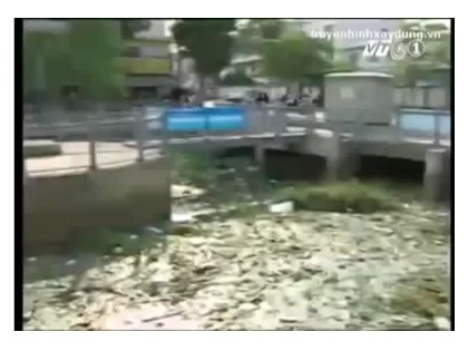 Bài giảng Ngữ văn Lớp 9 - Tiết 43: Thông tin về ngày Trái Đất năm 2000