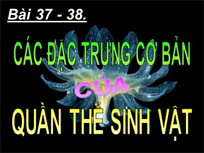 Bài giảng Sinh học 12 - Bài 37+38: Các đặc trưng cơ bản của quần thể sinh vật
