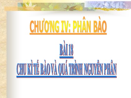 Bài giảng Sinh học Lớp 10 - Bài 18: Chu kì tế bào và quá trình nguyên phân