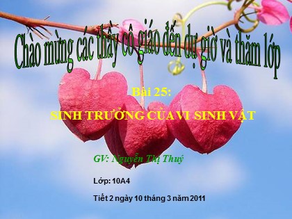 Bài giảng Sinh học Lớp 10 - Bài 25: Sinh trưởng của vi sinh vật - Nguyễn Thị Thúy