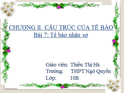 Bài giảng Sinh học Lớp 10 - Tiết 7: Tế bào nhân sơ - Thiều Thị Hà