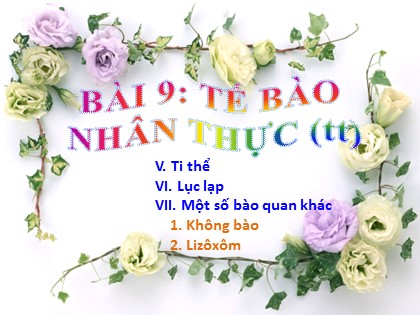 Bài giảng Sinh học Lớp 10 - Tiết 9: Tế bào nhân thực (Tiếp theo)