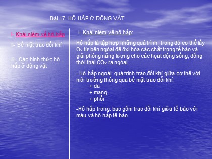 Bài giảng Sinh học Lớp 11 - Bài 17: Hô hấp ở động vật Bài giảng Sinh học Lớp 11 - Bài 17: Hô hấp ở động vật