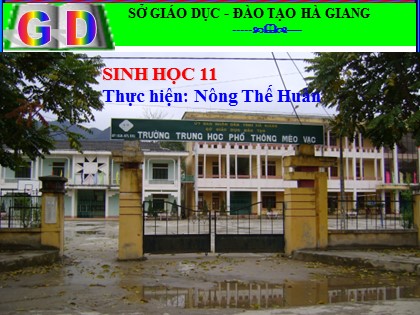 Bài giảng Sinh học Lớp 11 - Bài 19: Tuần hoàn máu (Tiếp theo) - Nông Thế Huân Bài giảng Sinh học Lớp 11 - Bài 19: Tuần hoàn máu (Tiếp theo) - Nông Thế Huân