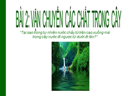 Bài giảng Sinh học Lớp 11 - Bài 2: Vận chuyển các chất trong cây