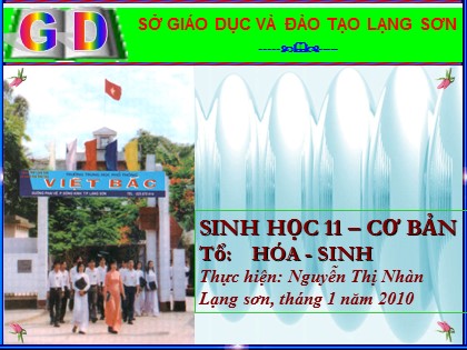Bài giảng Sinh học Lớp 11 - Bài 32: Tập tính ở động vật (Tiếp) - Nguyễn Thị Nhàn
