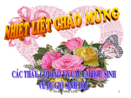 Bài giảng Sinh học Lớp 11 - Bài 35: Hoocmôn thực vật