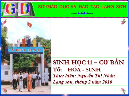 Bài giảng Sinh học Lớp 11 - Bài 36: Phát triển ở thực vật có hoa - Nguyễn Thị Nhàn