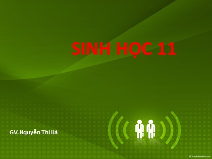 Bài giảng Sinh học Lớp 11 - Bài 44: Sinh sản vô tính ở động vật