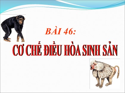Bài giảng Sinh học Lớp 11 - Bài 46: Cơ chế điều hòa sinh sản
