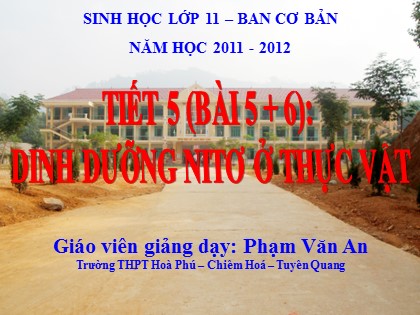 Bài giảng Sinh học Lớp 11 - Bài 5+6: Dinh dưỡng nitơ ở thực vật - Phạm Văn An