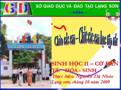 Bài giảng Sinh học Lớp 11 - Bài 8: Quang hợp ở thực vật - Nguyễn Thị Nhàn